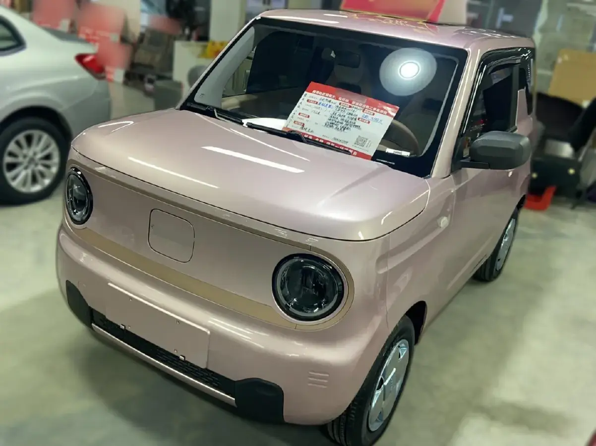 2023 Geely Panda BEV 17.03KWH