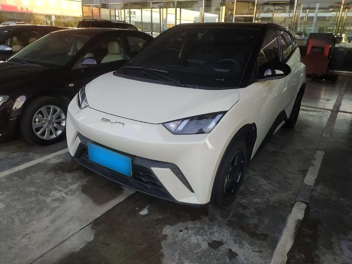 2025 BYD Seagull BEV 30.08KWH