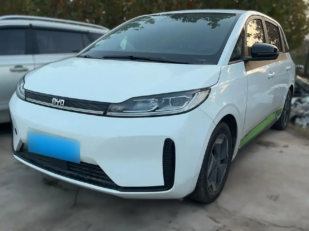 2020 BYD e1 BEV 32.2KWH
