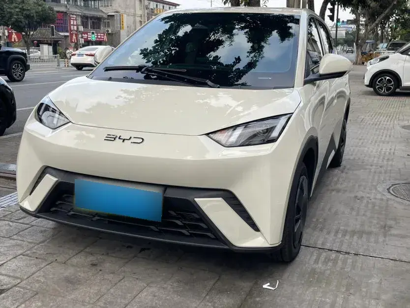 2024 BYD Seagull BEV 30.08KWH