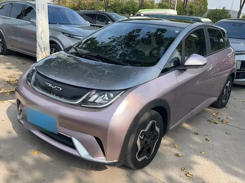 2021 BYD Dolphin BEV 44.9KWH