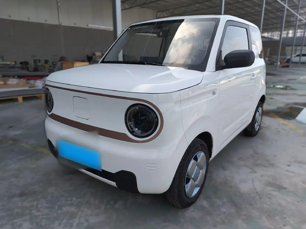2024 Geely Panda BEV 17.03KWH