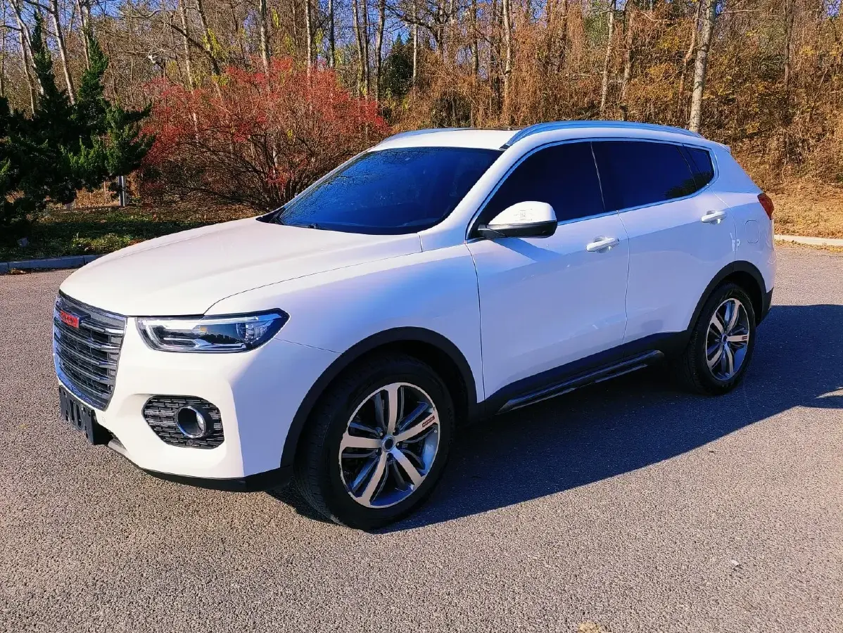 2017 Haval H6 2.0T 197HP L4 7DCT