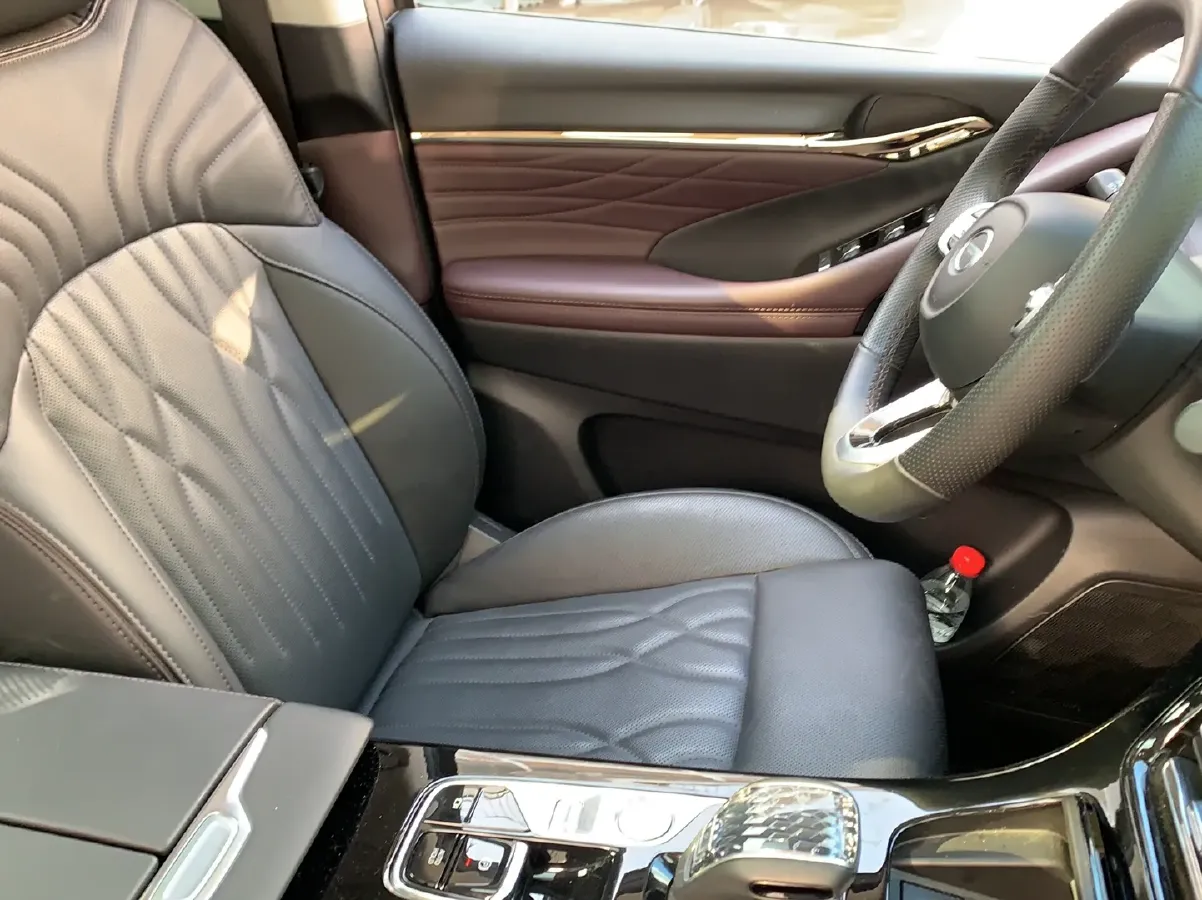 2024 GAC Trumpchi M8 2.0T 252HP L4 8AT,autocango,china used car exporter,china ev exporter,chinese used car exporter,chinese used ev exporter