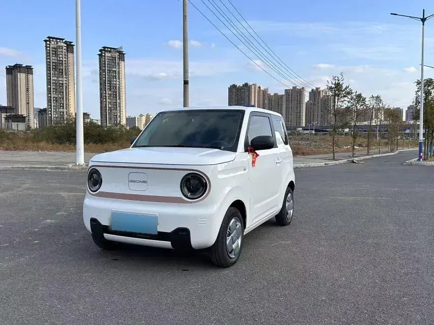 2024 Geely Panda BEV 17.03KWH