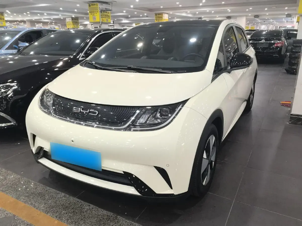 2023 BYD Dolphin BEV 44.928KWH