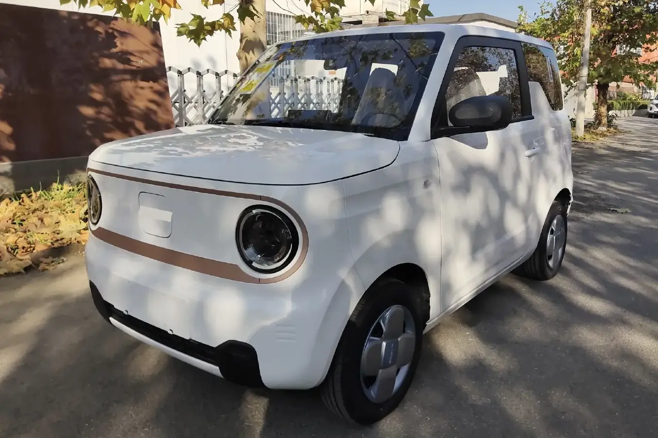 2024 Geely Panda BEV 17.03KWH
