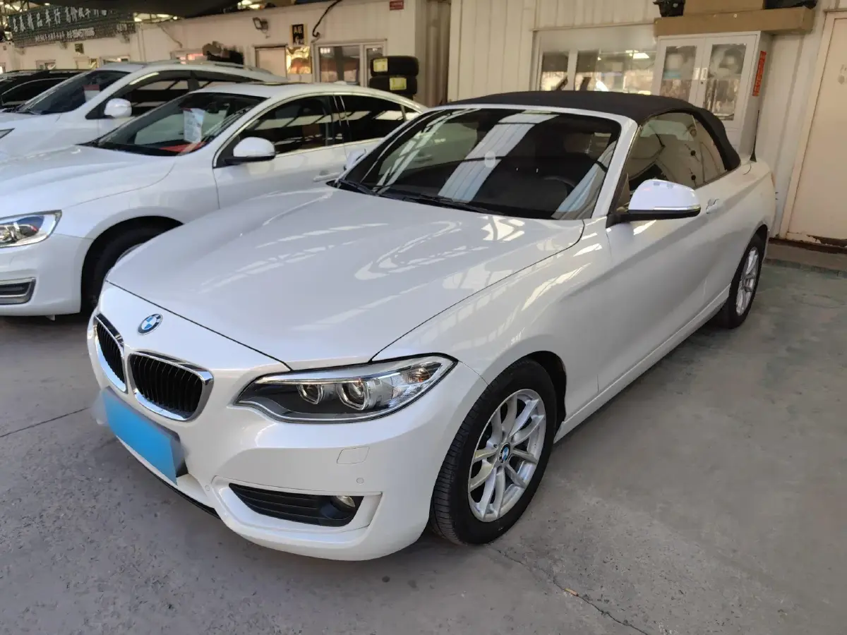 2015 BMW 2 Series 1.5T 136HP L3 8AT