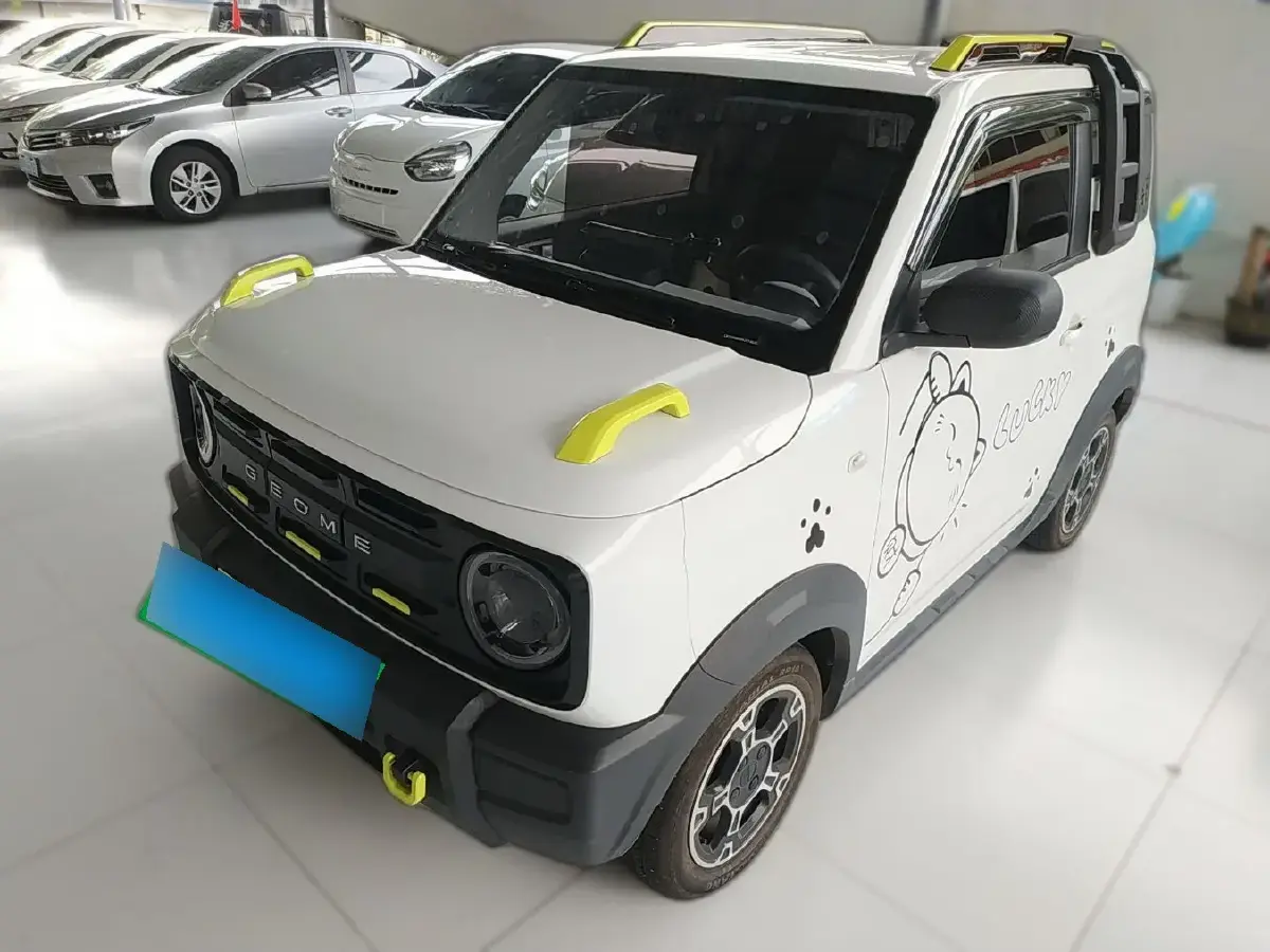 2024 Geely Panda BEV 17.03KWH
