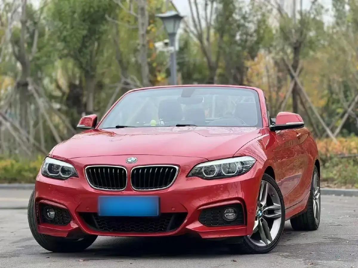 2018 BMW 2 Series 2.0T 184HP L4 8AT