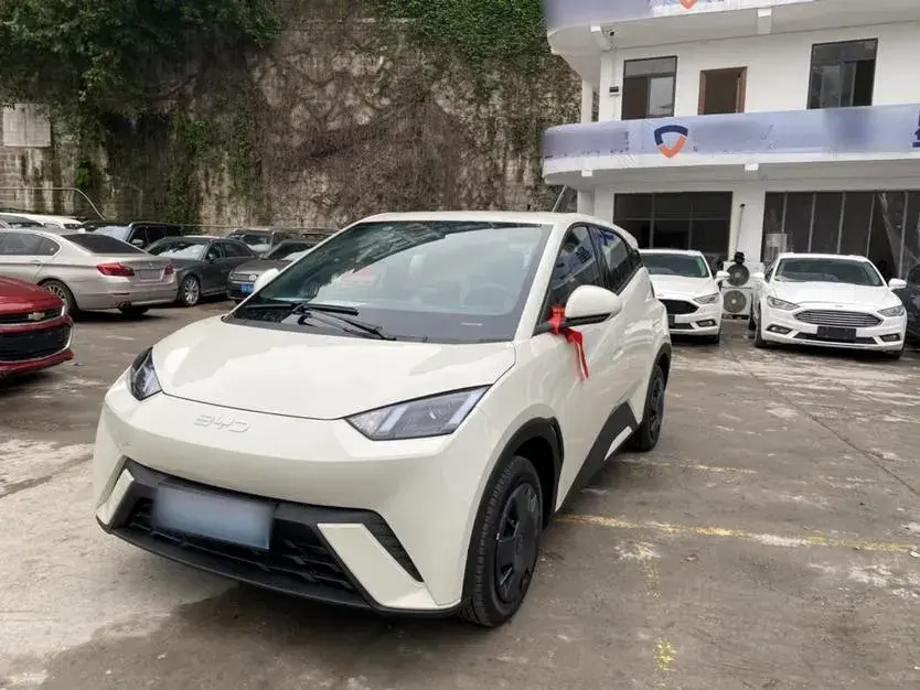 2025 BYD Seagull BEV 30.08KWH