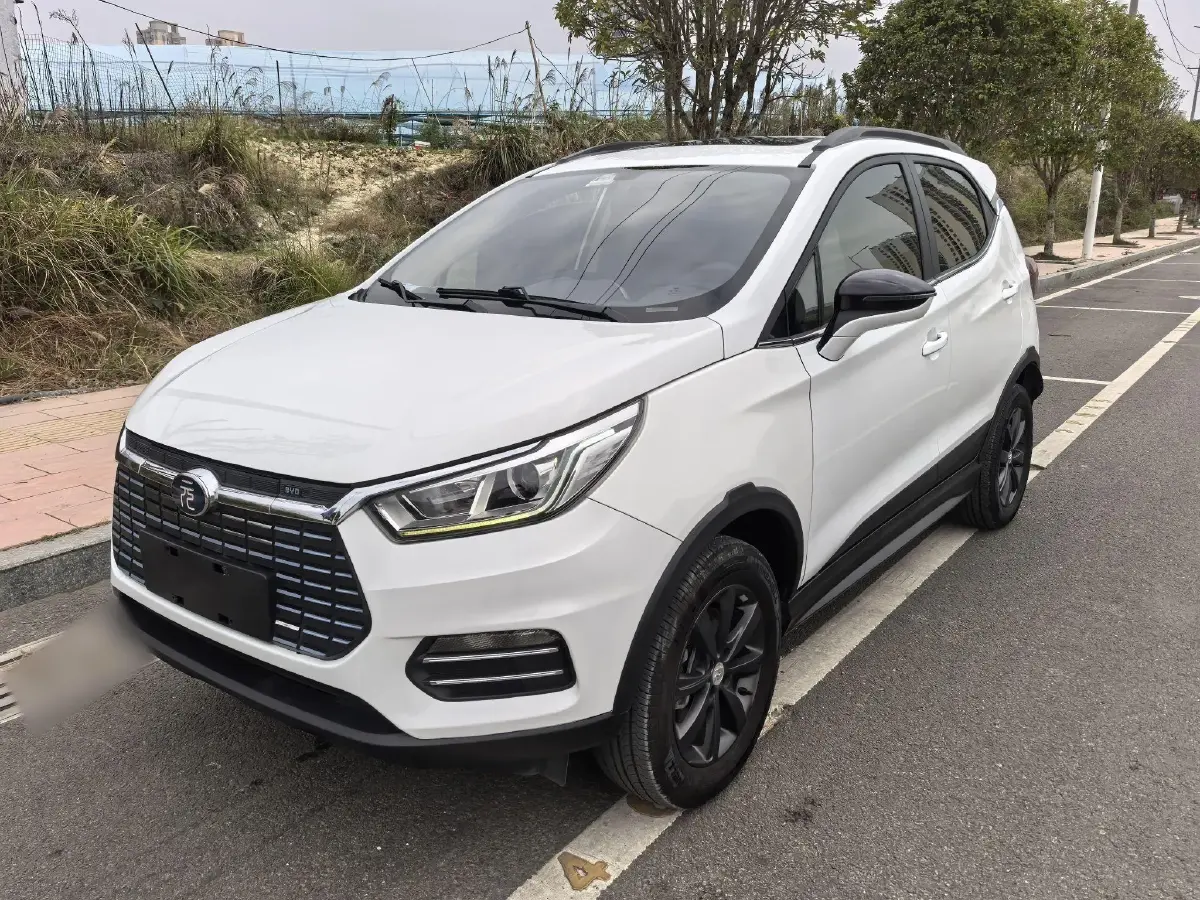 2018 BYD Yuan BEV 42KWH