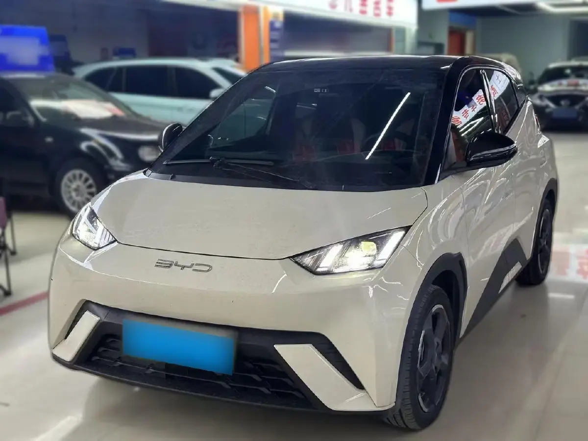 2023 BYD Seagull BEV 30.08KWH