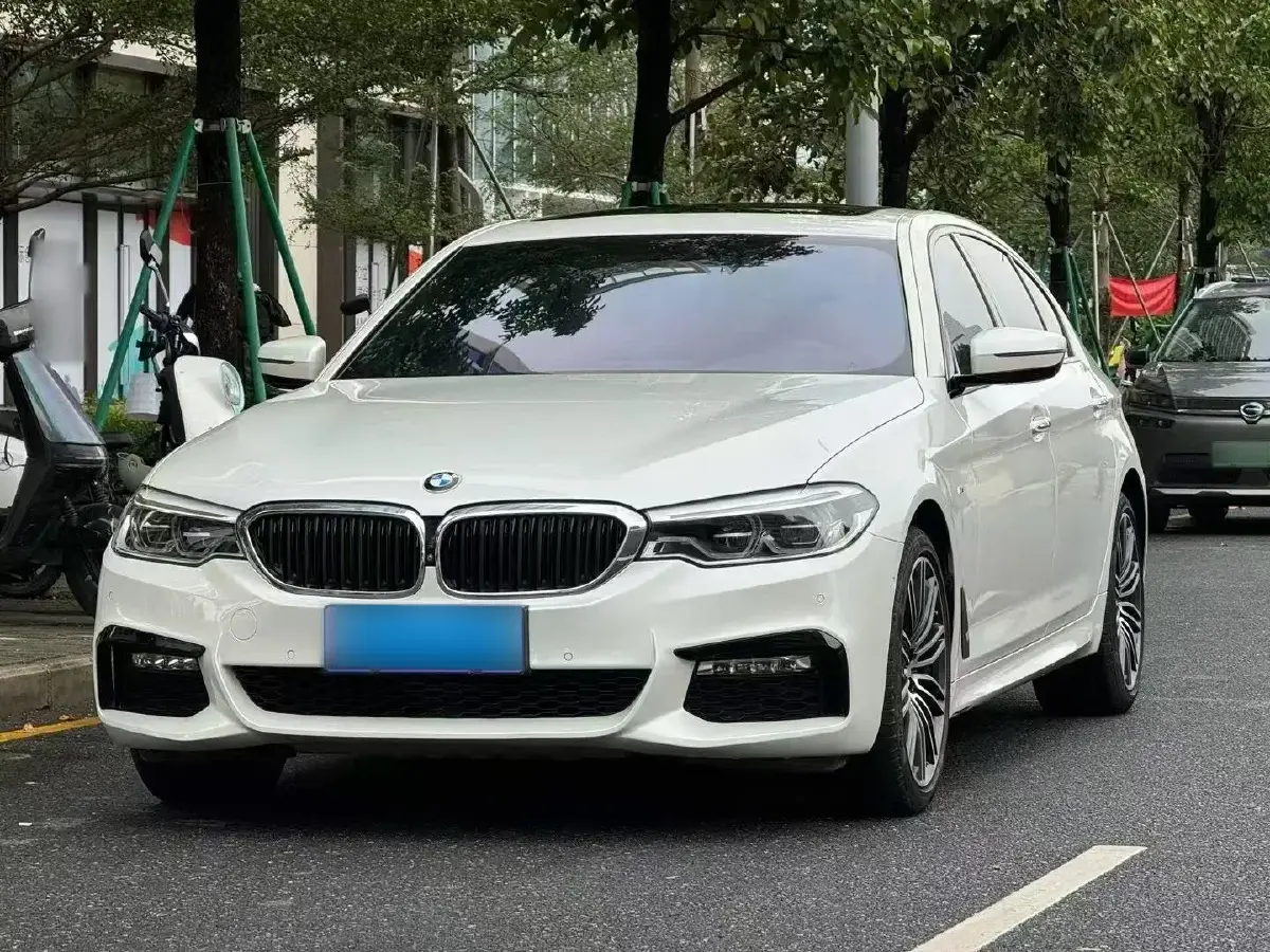 2018 BMW 5 Series 2.0T 252HP L4 8AT