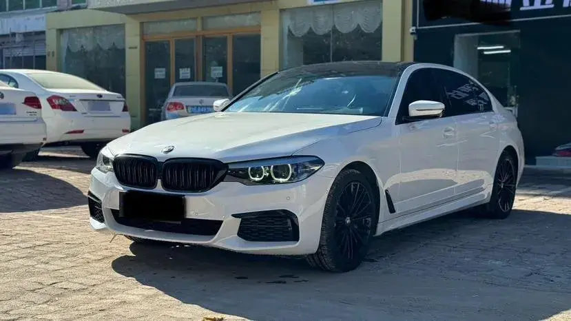 2019 BMW 5 Series 2.0T 252HP L4 8AT