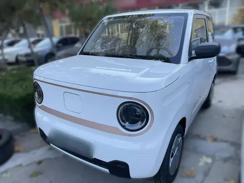 2024 Geely Panda BEV 17.03KWH