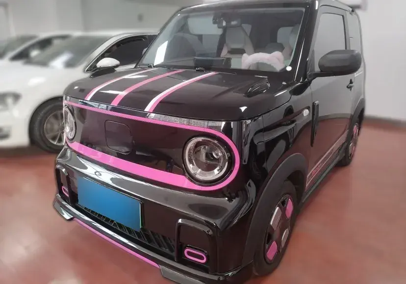2024 Geely Panda BEV 17.03KWH