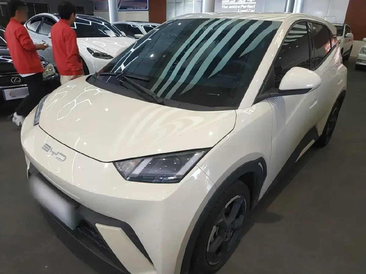 2023 BYD Seagull BEV 30.08KWH