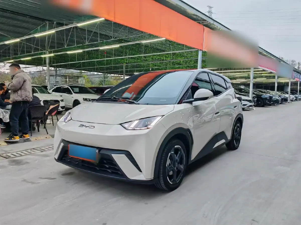 2023 BYD Seagull BEV 30.08KWH