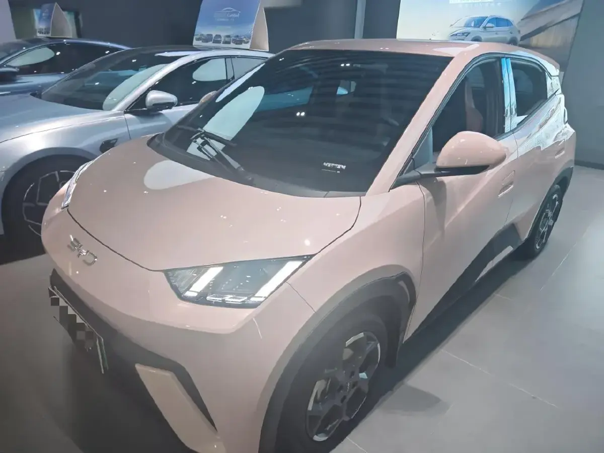 2025 BYD Seagull BEV 30.08KWH