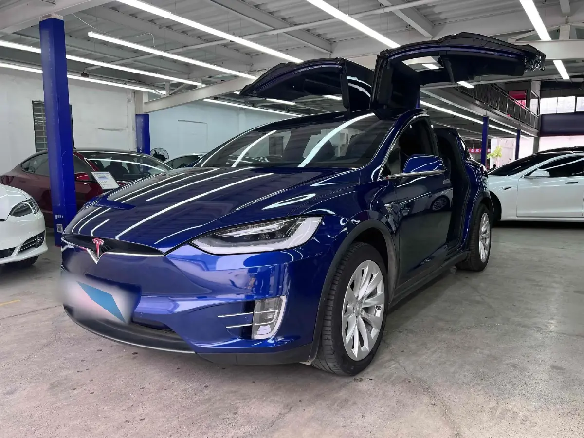 2017 Tesla Model X BEV 100KWH