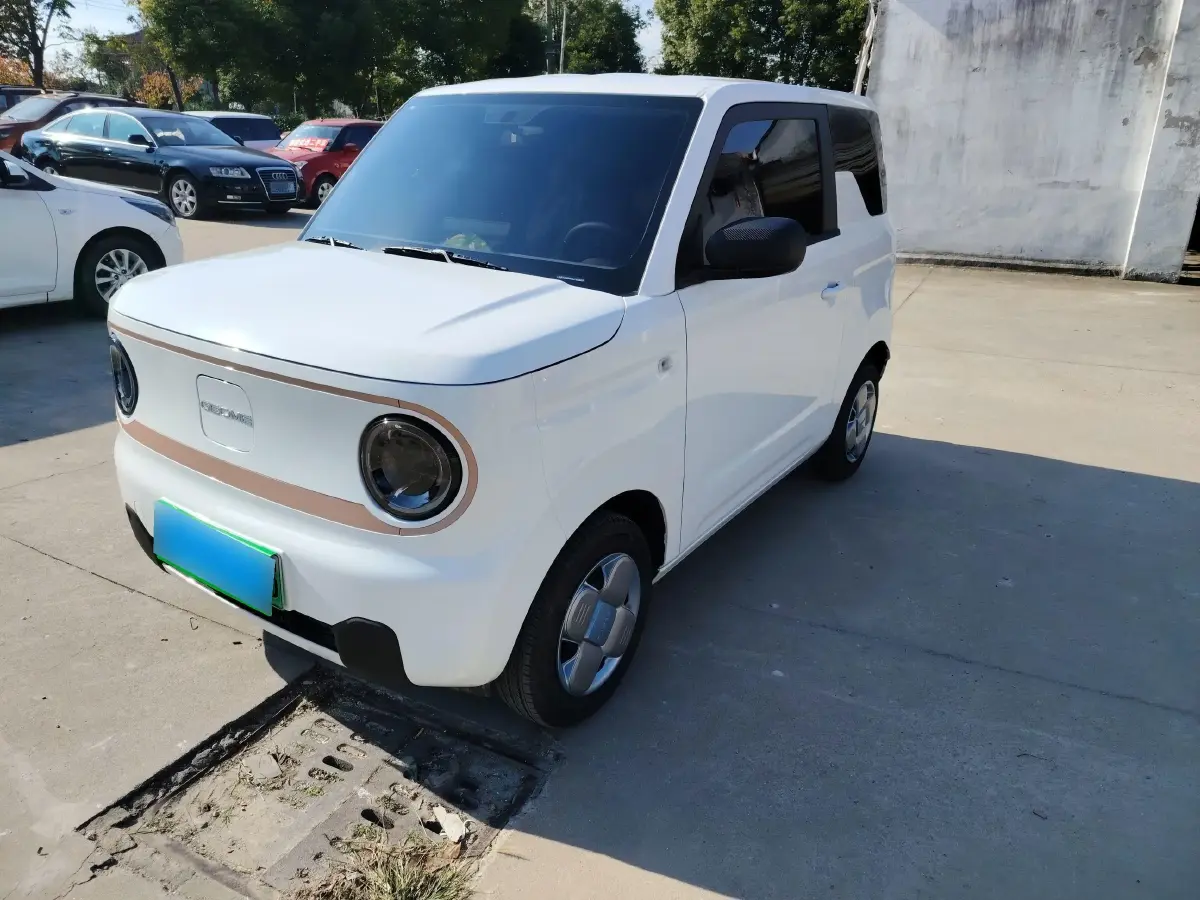 2024 Geely Panda BEV 17.03KWH
