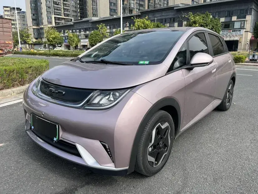 2021 BYD Dolphin BEV 44.9KWH
