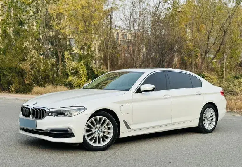 2020 BMW 5 Series 2.0T 184HP L4 8AT PHEV 13KWH