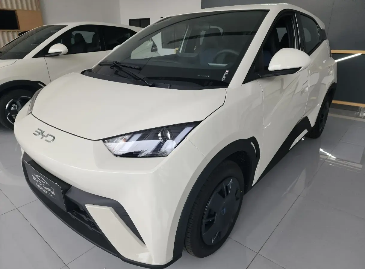 2025 BYD Seagull BEV 30.08KWH