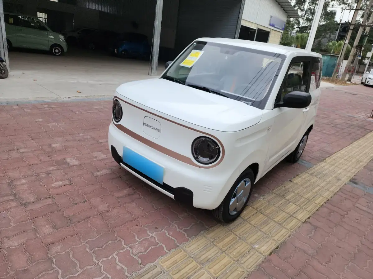 2024 Geely Panda BEV 17.03KWH