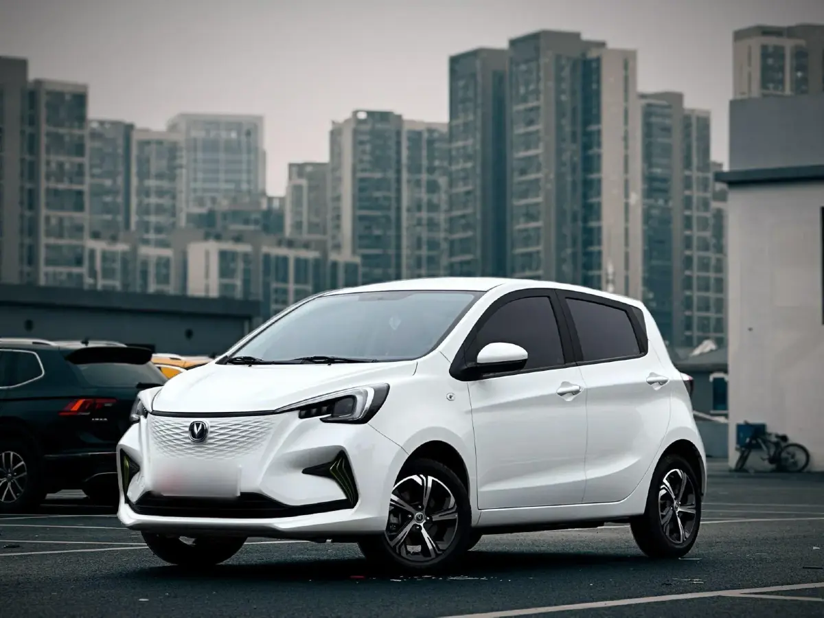 2020 ChangAn BenBen E-Star BEV 31.95KWH