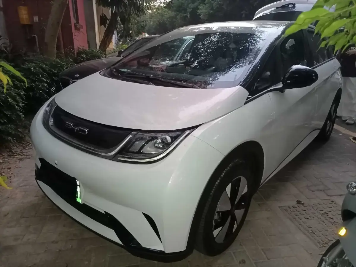 2023 BYD Dolphin BEV 44.928KWH