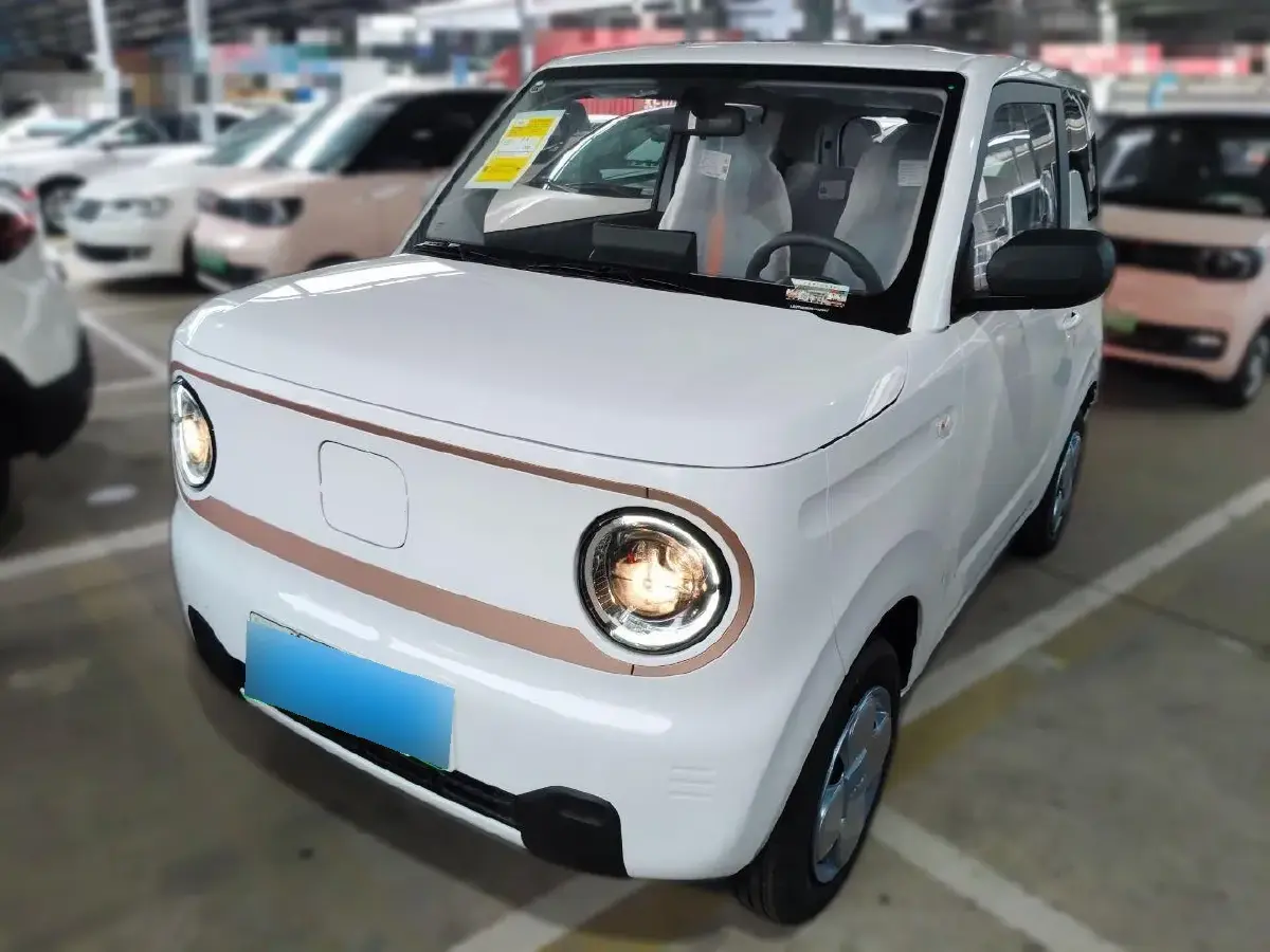 2024 Geely Panda BEV 17.03KWH
