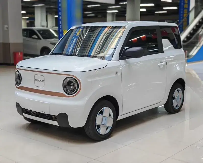 2023 Geely Panda BEV 17.03KWH