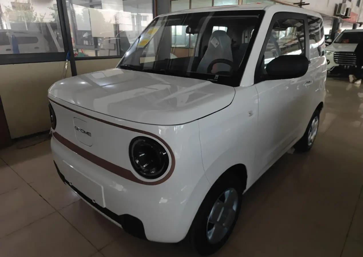 2024 Geely Panda BEV 17.03KWH