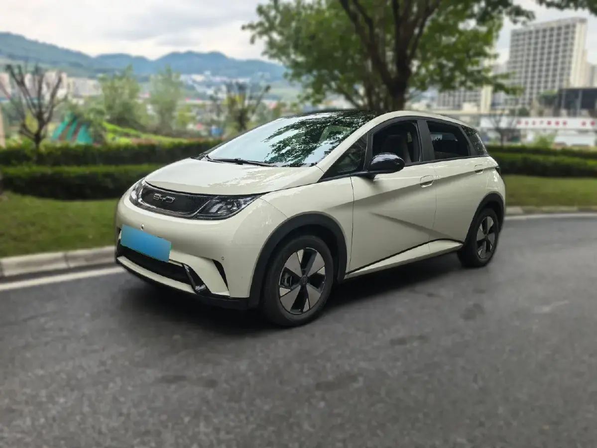 2023 BYD Dolphin BEV 44.928KWH