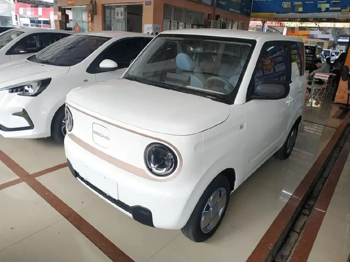 2023 Geely Panda BEV 17.03KWH