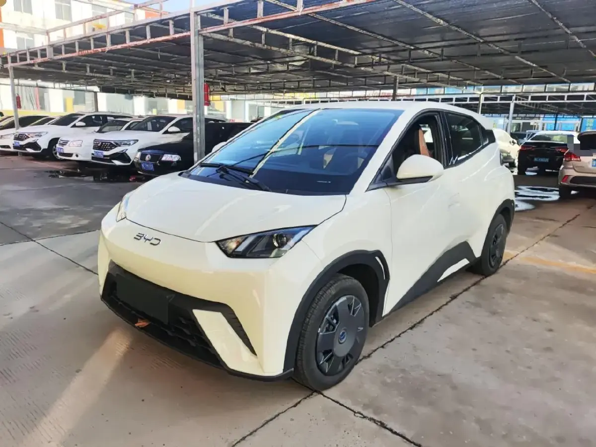 2023 BYD Seagull BEV 30.08KWH