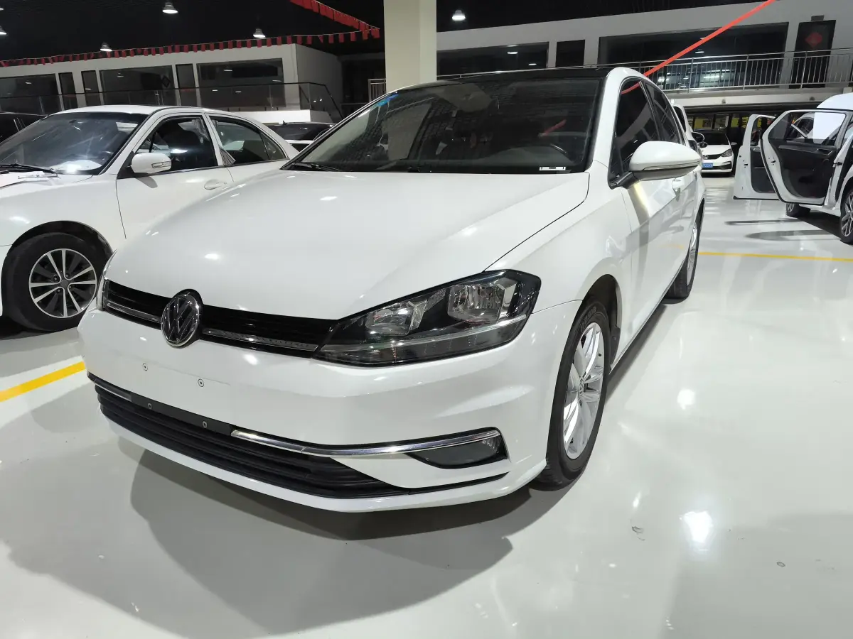 2019 Volkswagen Golf 1.6L 110HP L4 6AT