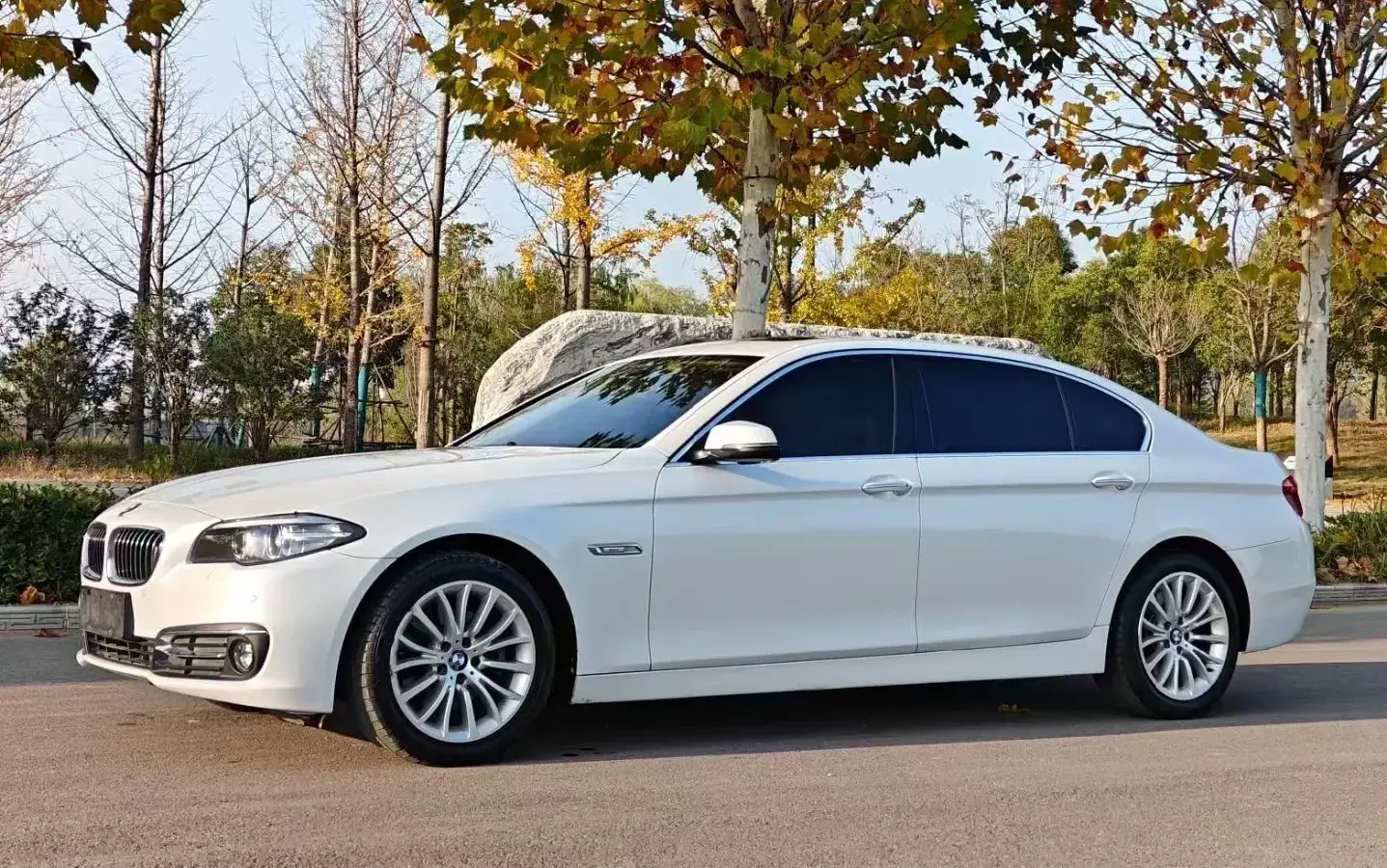 2017 BMW 5 Series 2.0T 218HP L4 8AT