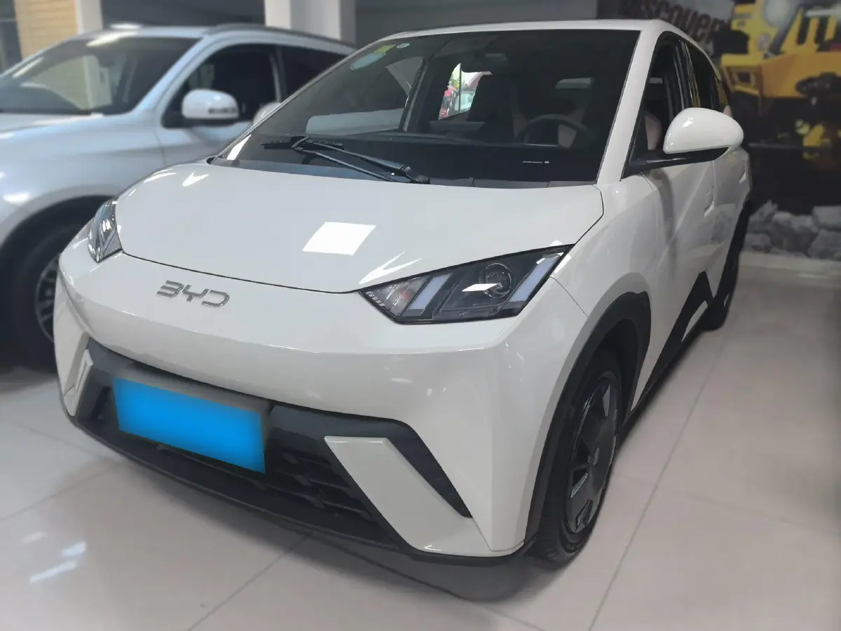 2024 BYD Seagull BEV 30.08KWH