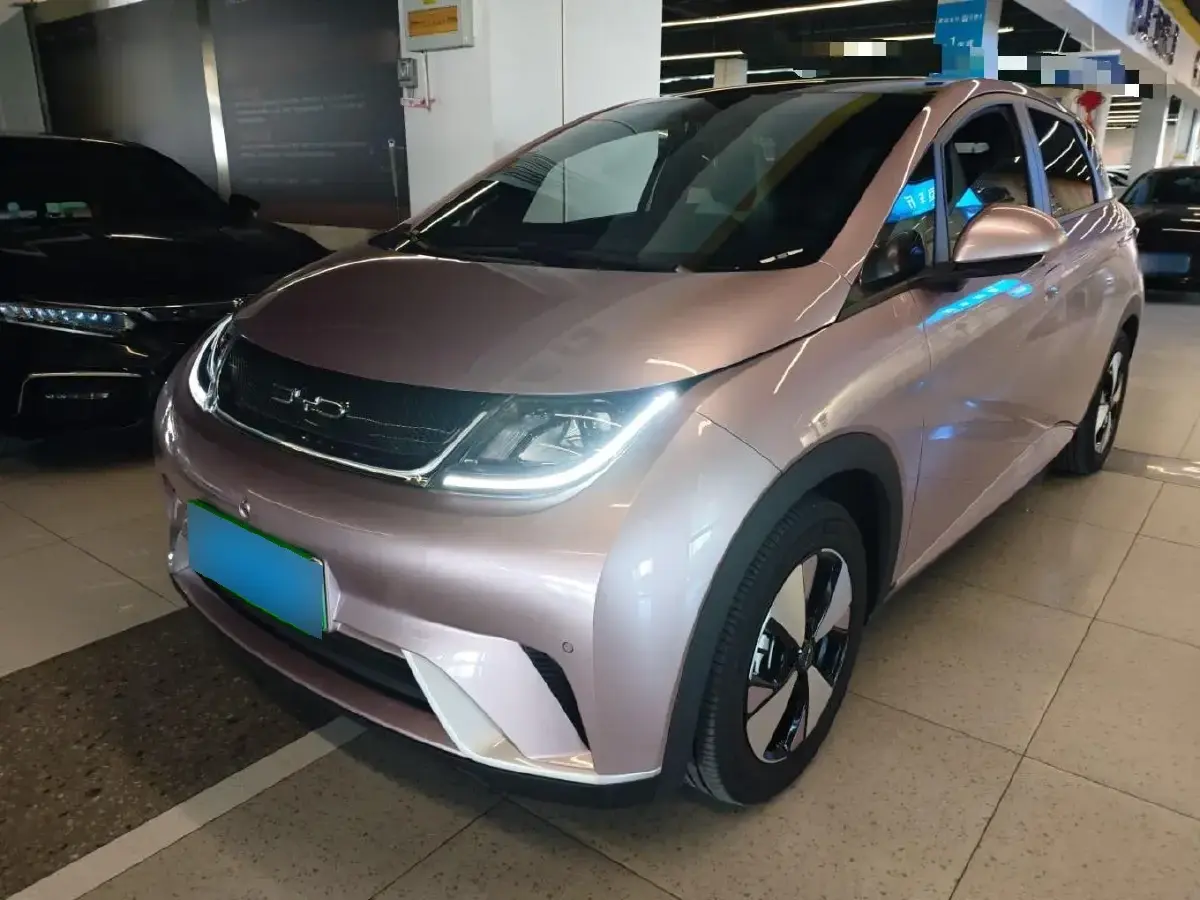 2023 BYD Dolphin BEV 44.928KWH