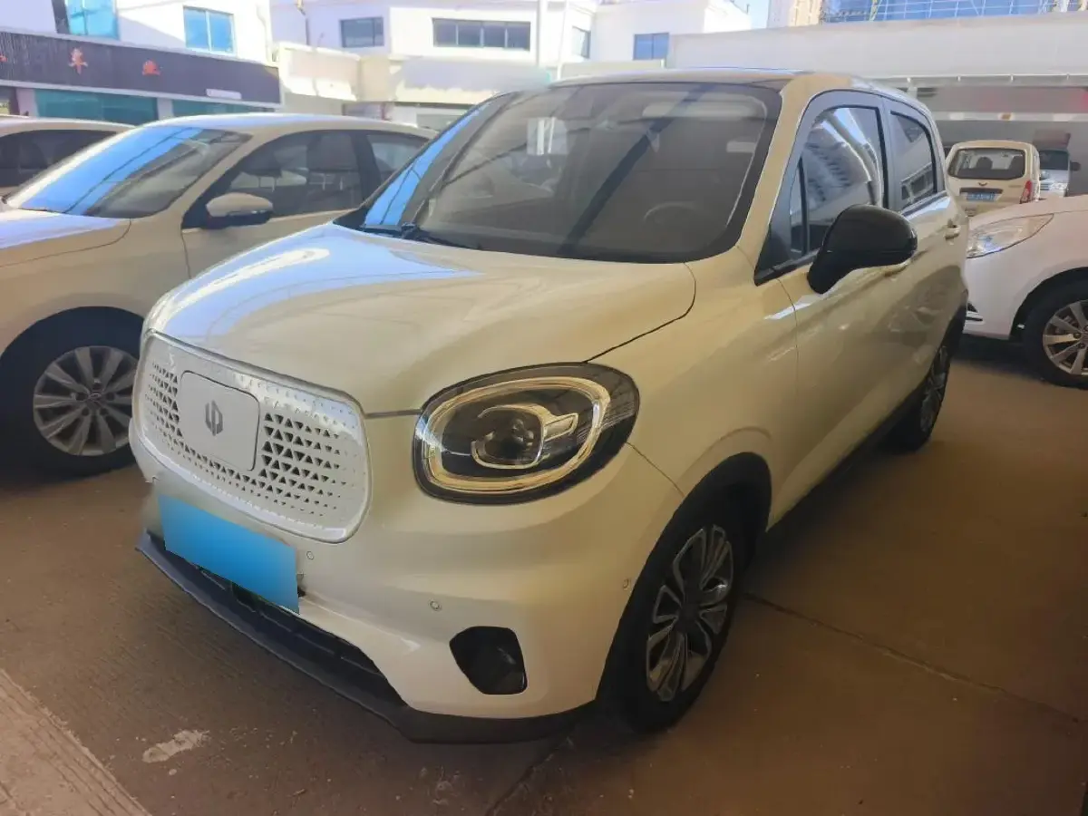 2020 Leapmotor T03 BEV 38KWH