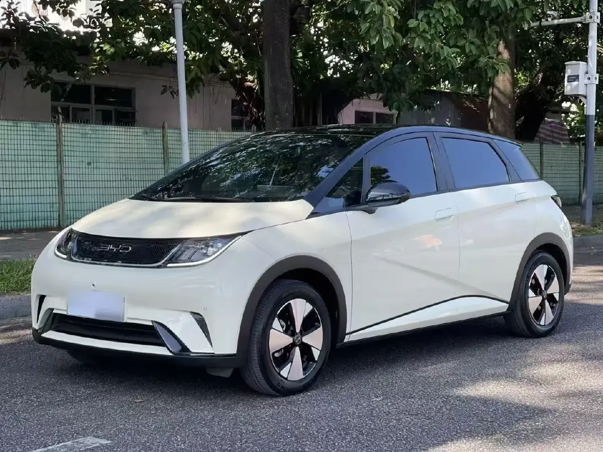 2023 BYD Dolphin BEV 44.928KWH