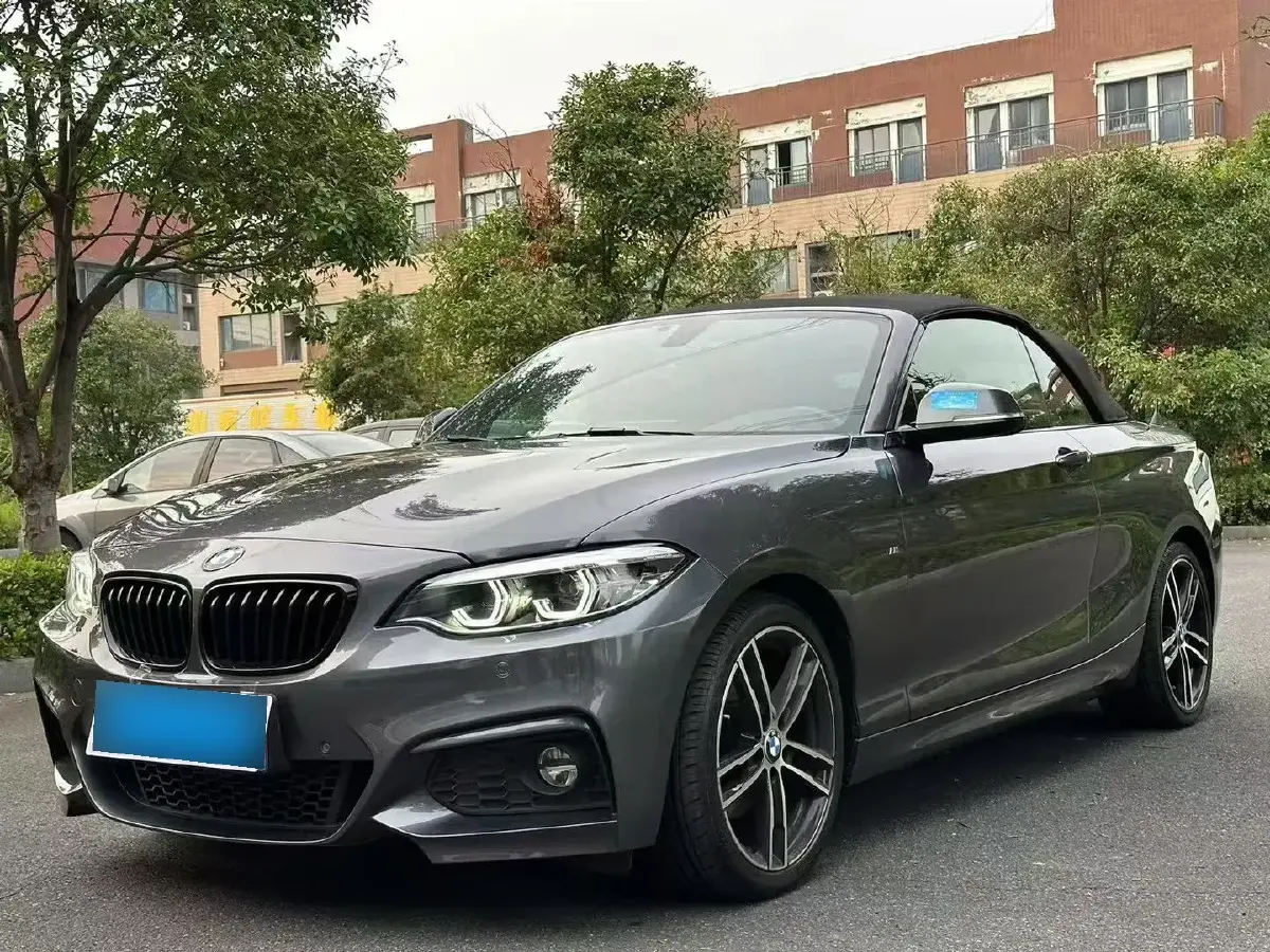 2019 BMW 2 Series 2.0T 184HP L4 8AT