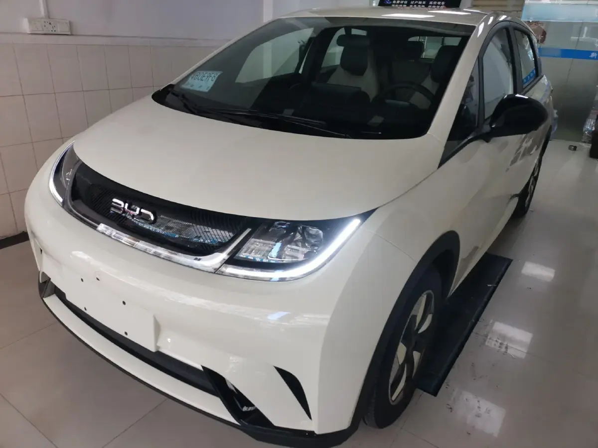 2024 BYD Dolphin BEV 44.928KWH