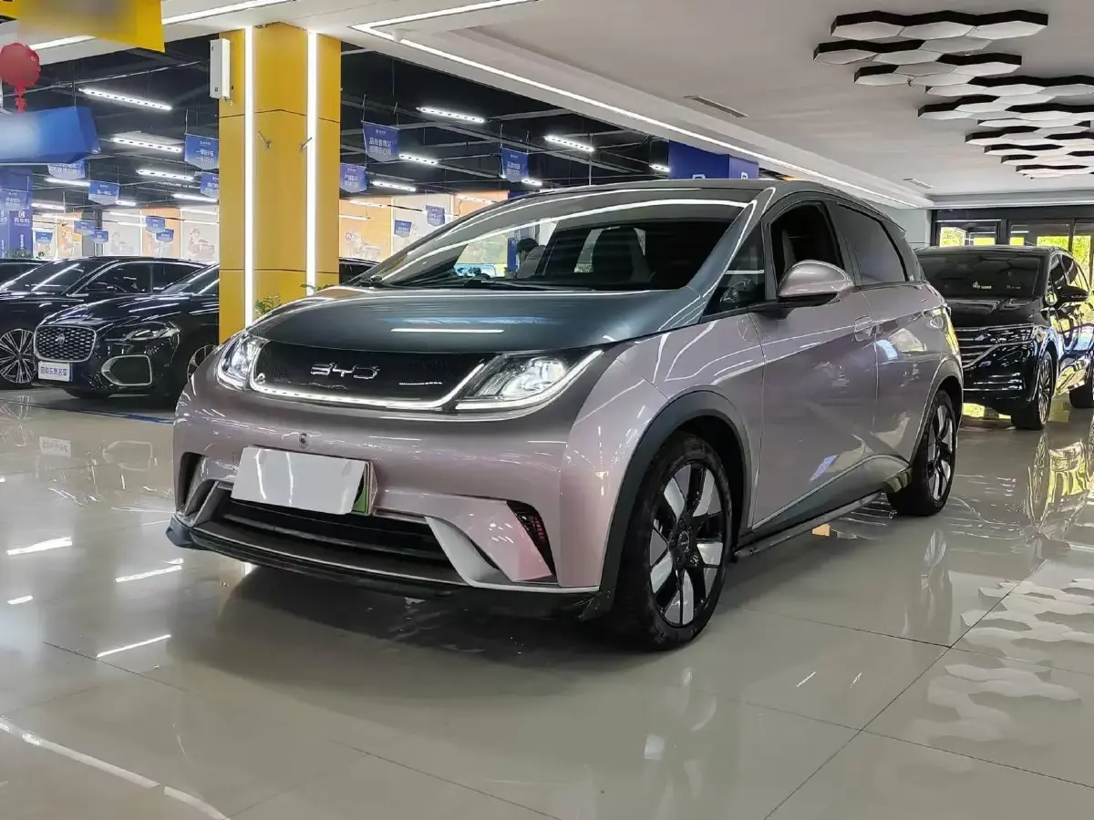 2021 BYD Dolphin BEV 44.9KWH