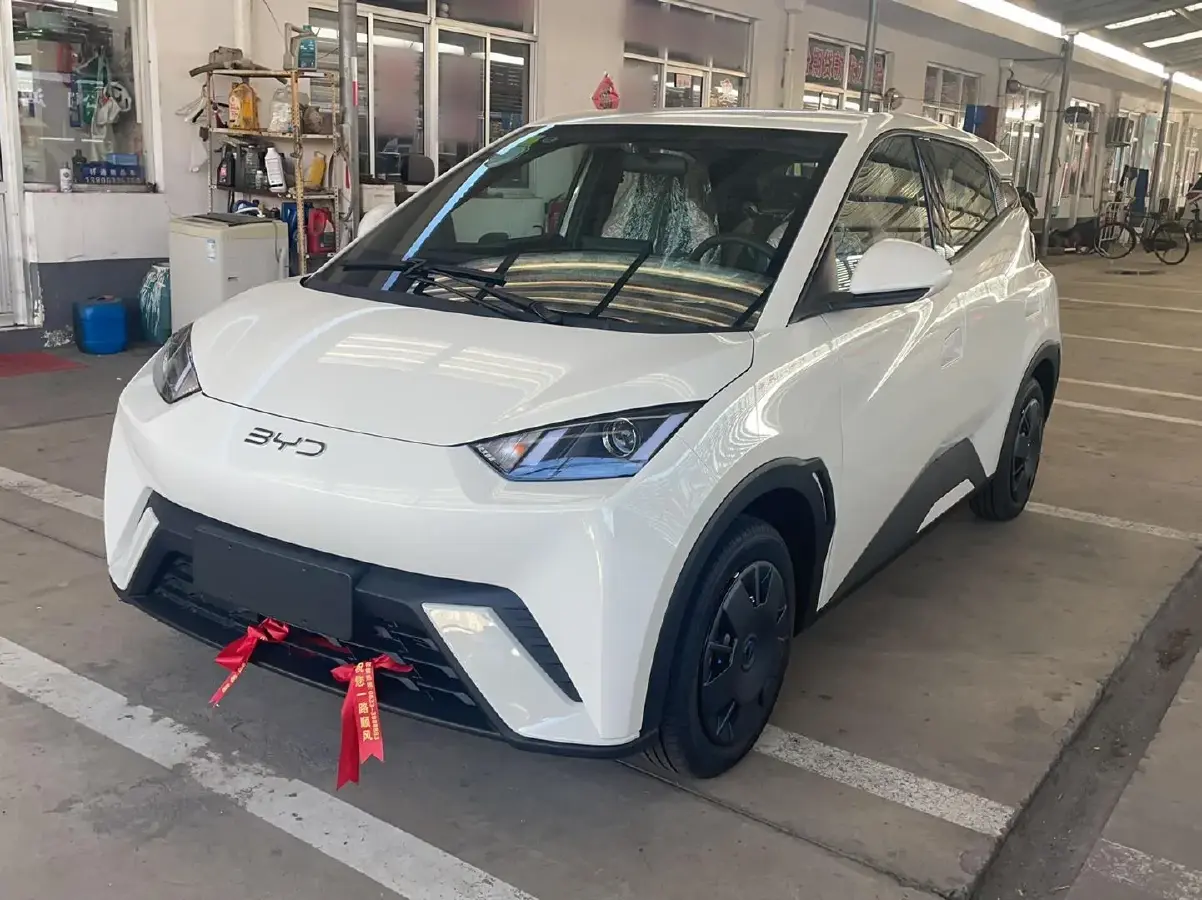 2025 BYD Seagull BEV 30.08KWH