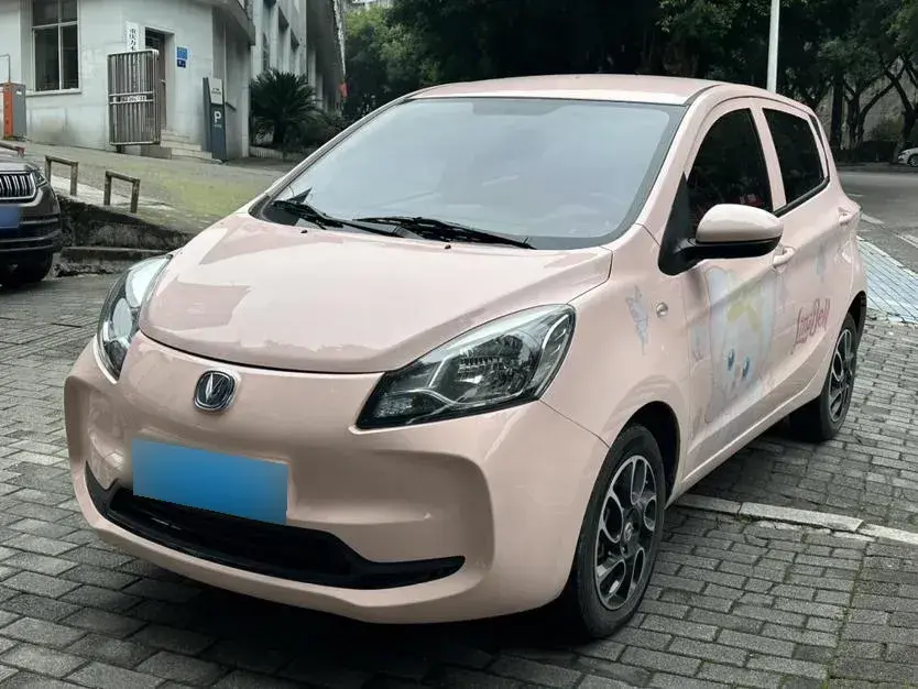 2021 ChangAn BenBen E-Star BEV 31.86KWH