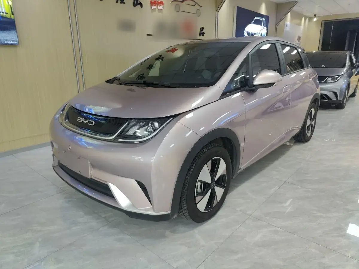 2023 BYD Dolphin BEV 44.928KWH